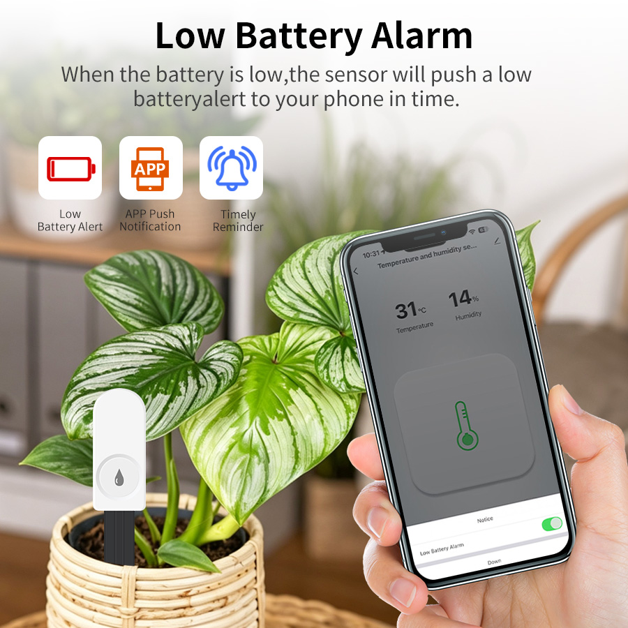 Sensore Intelligente di Umidit - Intervalometer Timer recensione e prezzo