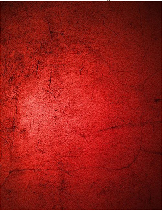 Sfondi Johnson Scarlet rosso s - Photography Dark Cloth recensione e prezzo